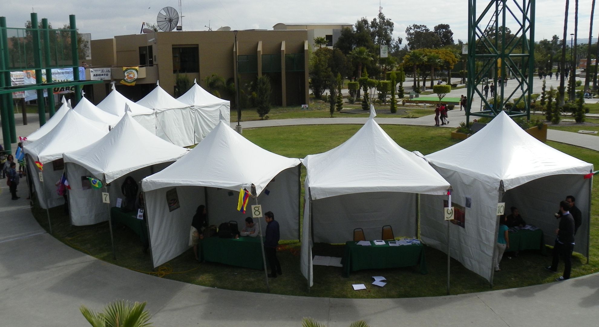 CARPAS Y ENCORTINADOS